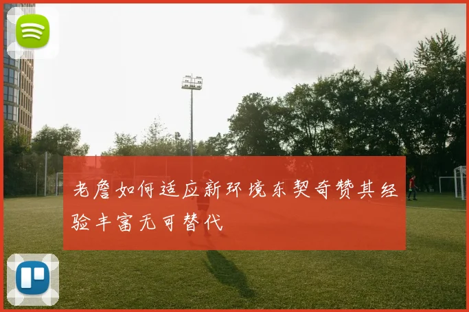 老詹如何适应新环境东契奇赞其经验丰富无可替代