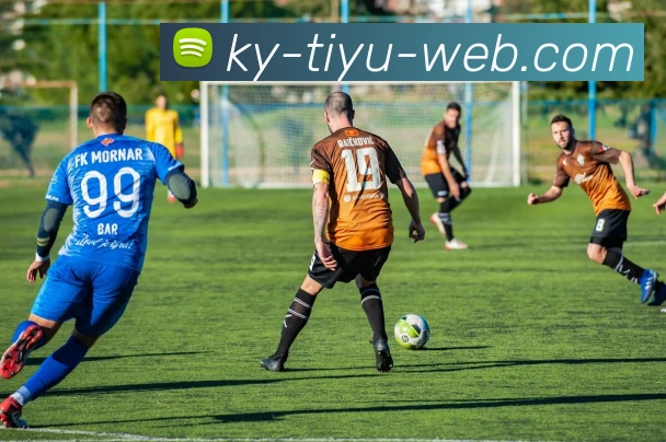 开元体育APP 封面图